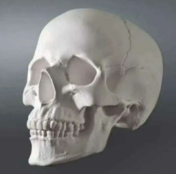 Для террариума декор