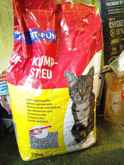 Żwirek dla kota*FIT+FUN~KLUMP STREU*•