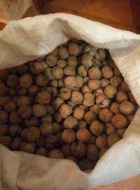 Орехи грецкие в  скорлупе