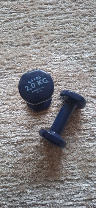 2 Pesos exercício - 2kg