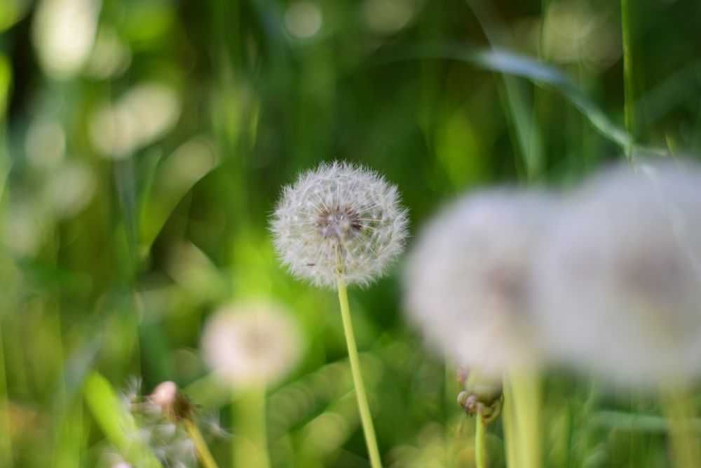 Zadbany zestaw foto do portretu i podróży – Nikon D5300, jak NOWY!