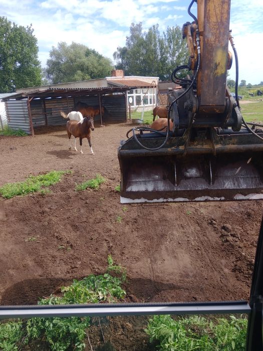 Prace ziemne koparka, wynajem wykopy i inne prace ziemne