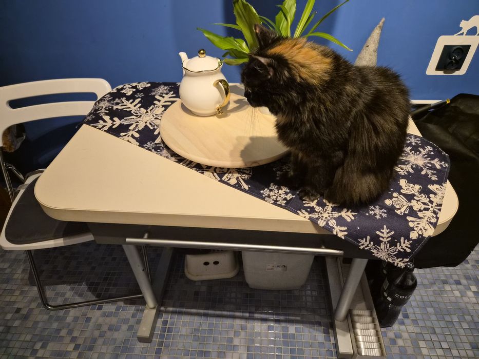 Stół kuchenny z szufladą