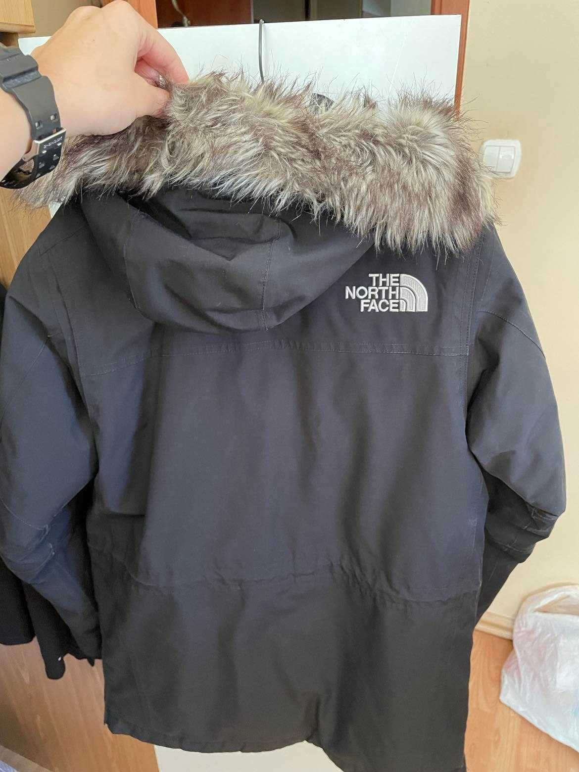 Kurtka puchowa THF The North Face McMurdo