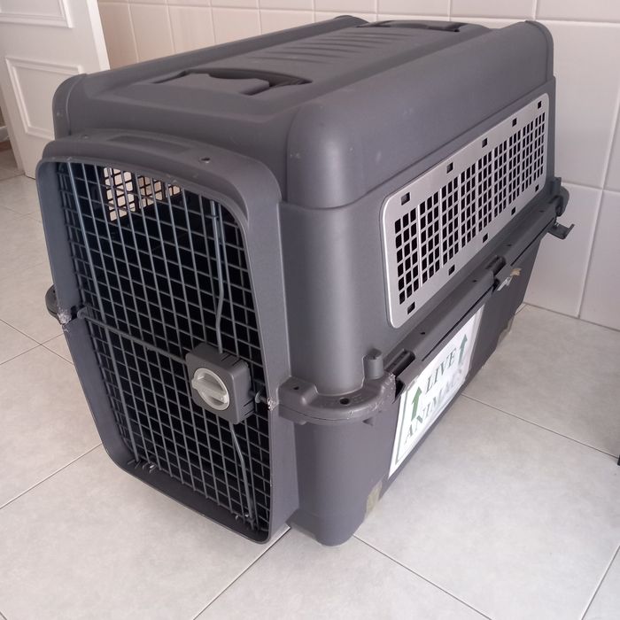 Transportadora tamanho 6