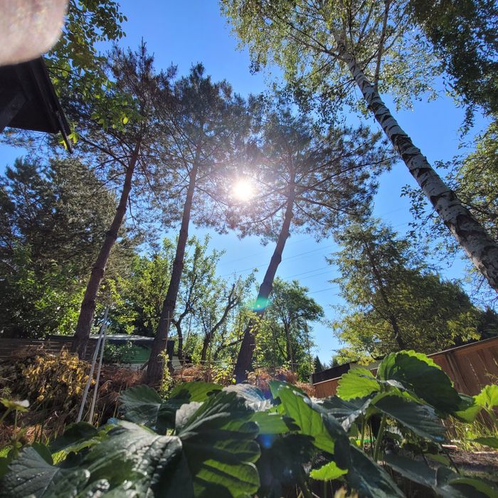 **Sąsiad znowu wierci? Mam na to lekarstwo. Działka ROD Wrocław**