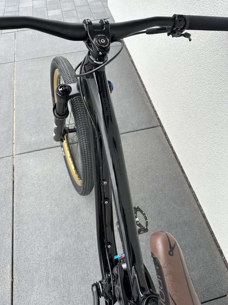 Trek Ticket S [Carbon,PikeDJ,Hope,Chromag,Burgtec]