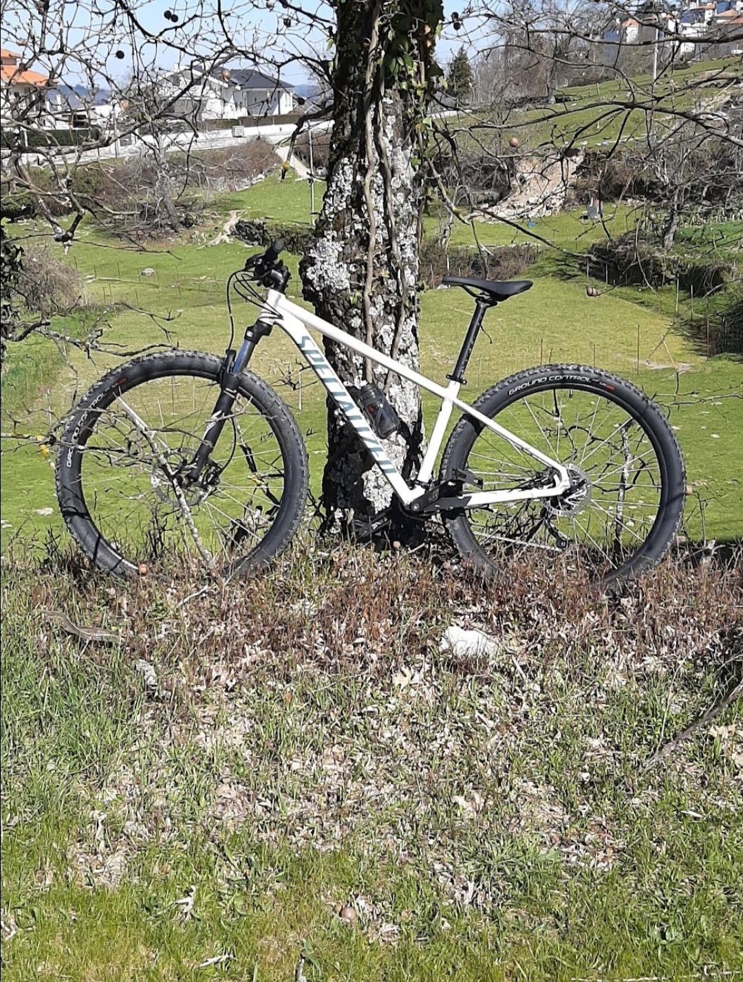 Specialized usada