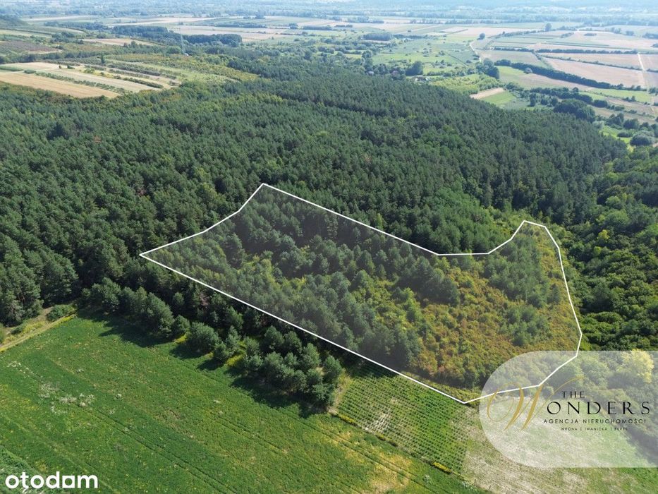 Nieruchomość gruntowa  • 2 ha • Urokliwa okolica