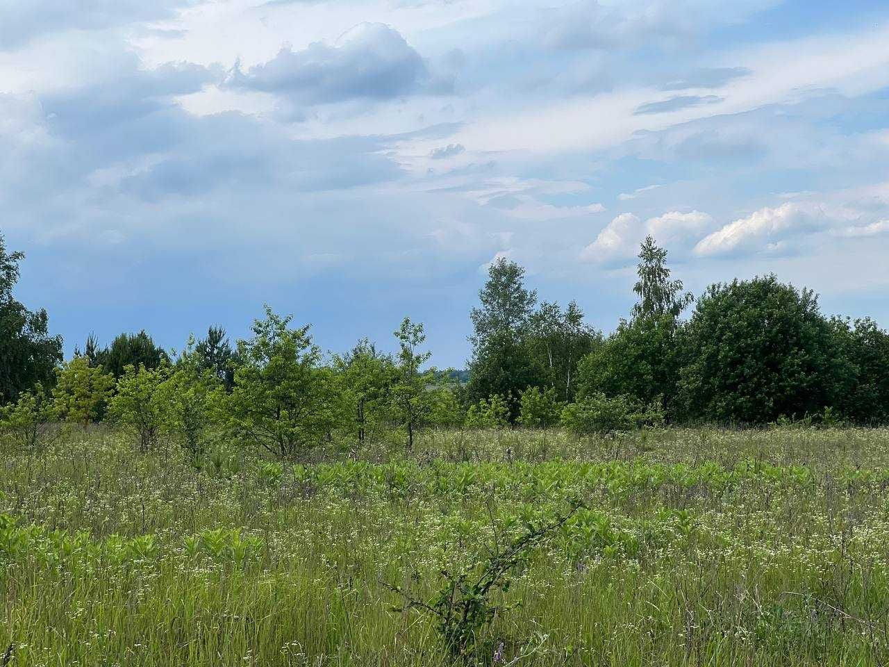 Продаж ділянки 10сот ОСГ. Поруч ліс і озеро. Грунтовий під'їзд. ID:587
