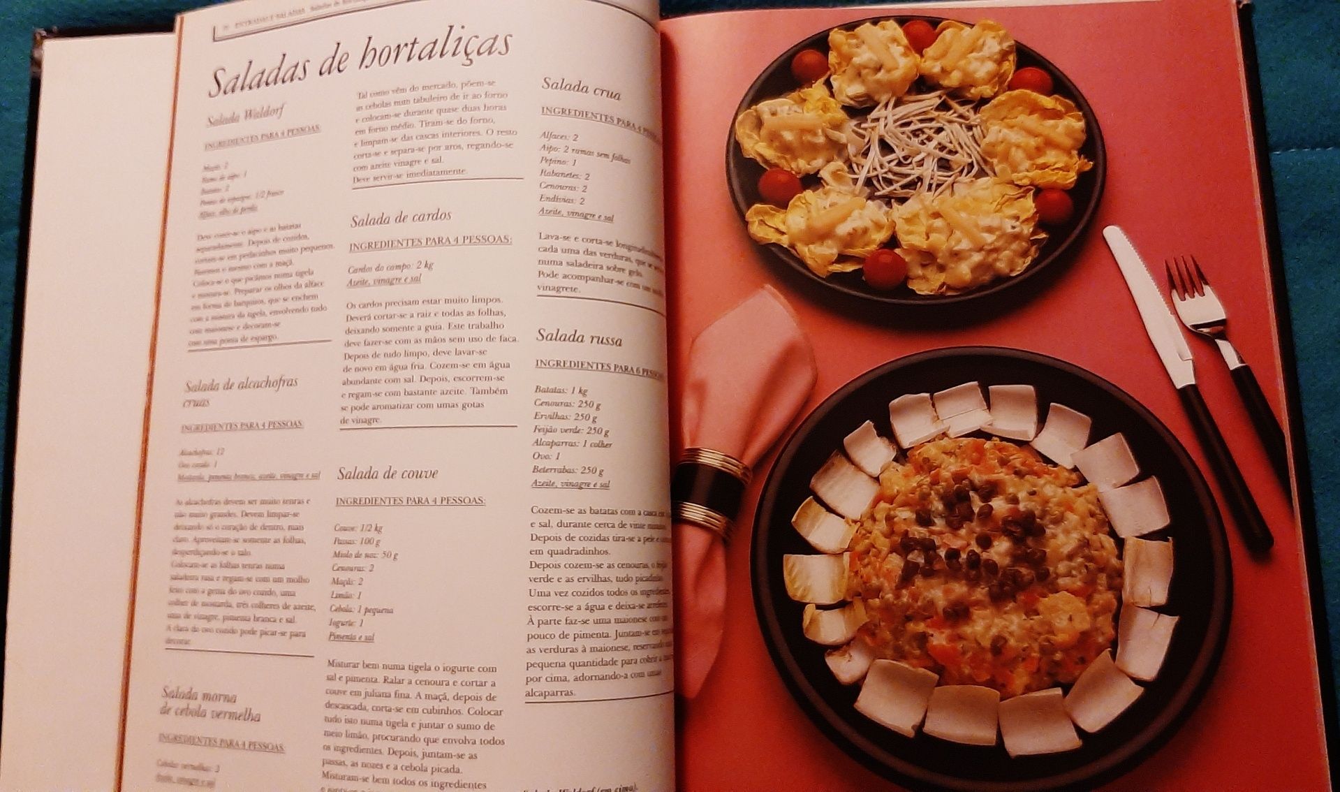 Livro Grande de receitas. ENTRADAS E SALADAS