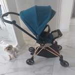 Wózek Cybex mios + wkładka