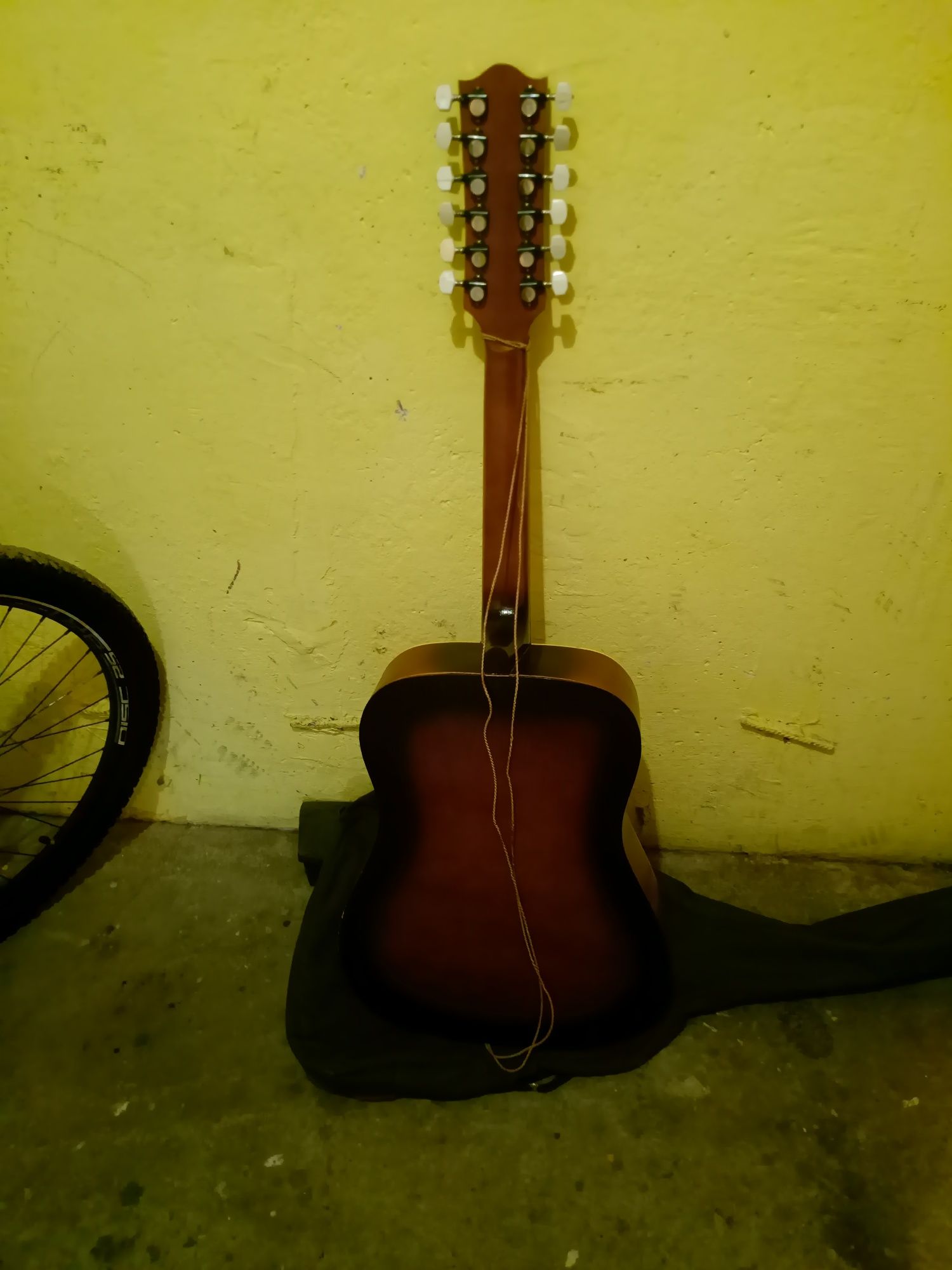 Gitara delfin 12 akustyczna