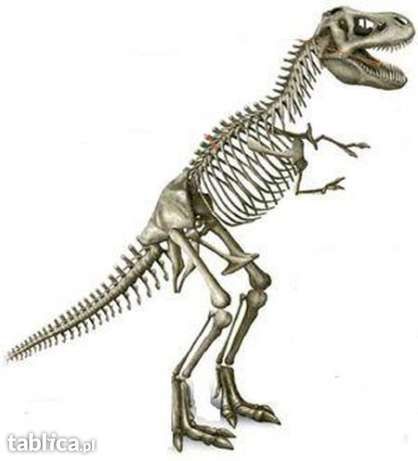 DINOZAUR Tyranozaur Rex DeAgostini T-Rex 120 cm sprzedam Pszczyna