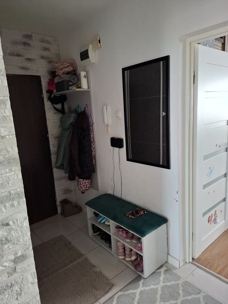 Mieszkanie 52,5 m2 felin
