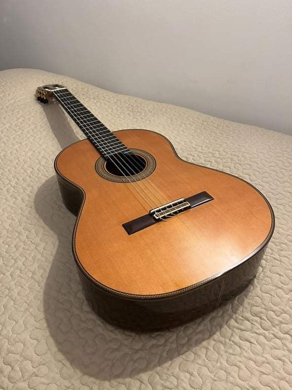 Guitarra Paco Castilho 205