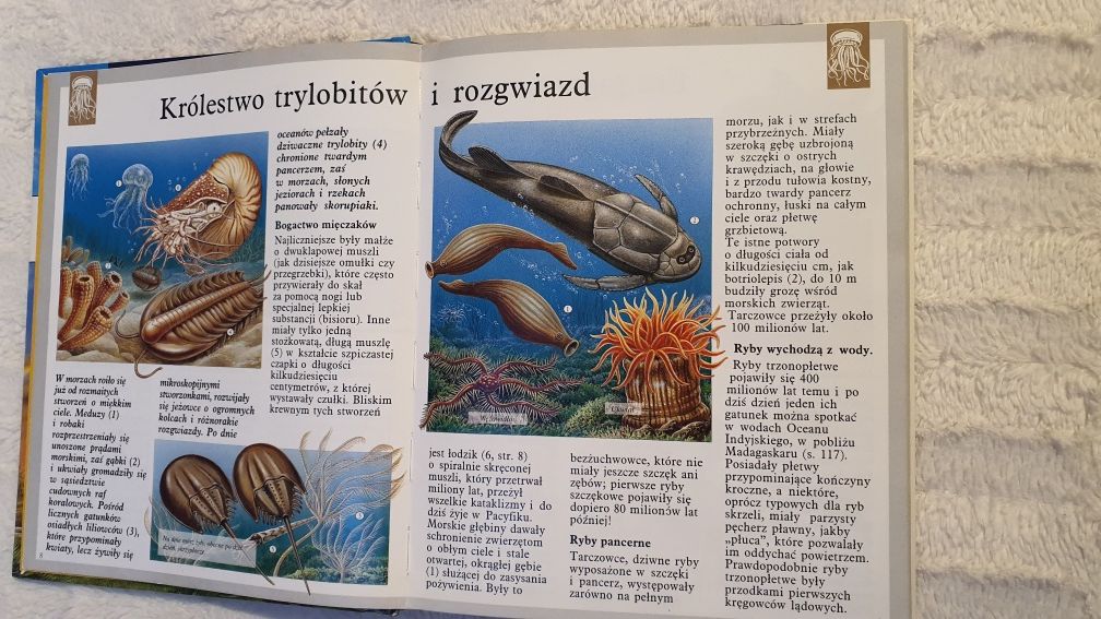 Dinozaury i inne zwierzęta wymarłe