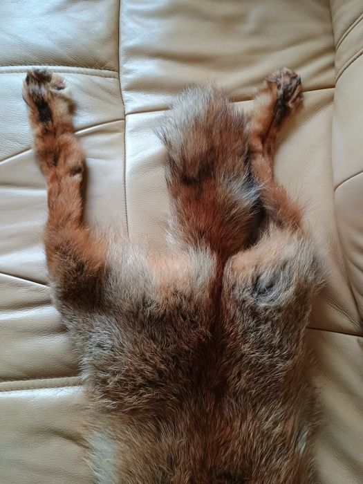 Naturalny szal/kołnierz z futra lisa rudego