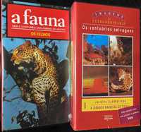 6 Vídeos VHS Natureza e História