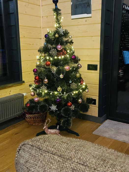 Енергонезалежний будинок, подобова оренда біля Києва сауна більярд