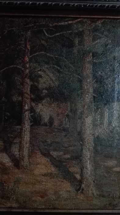 Художник К.Туцевич Пейзаж с деревьями РИ н.ХХвека