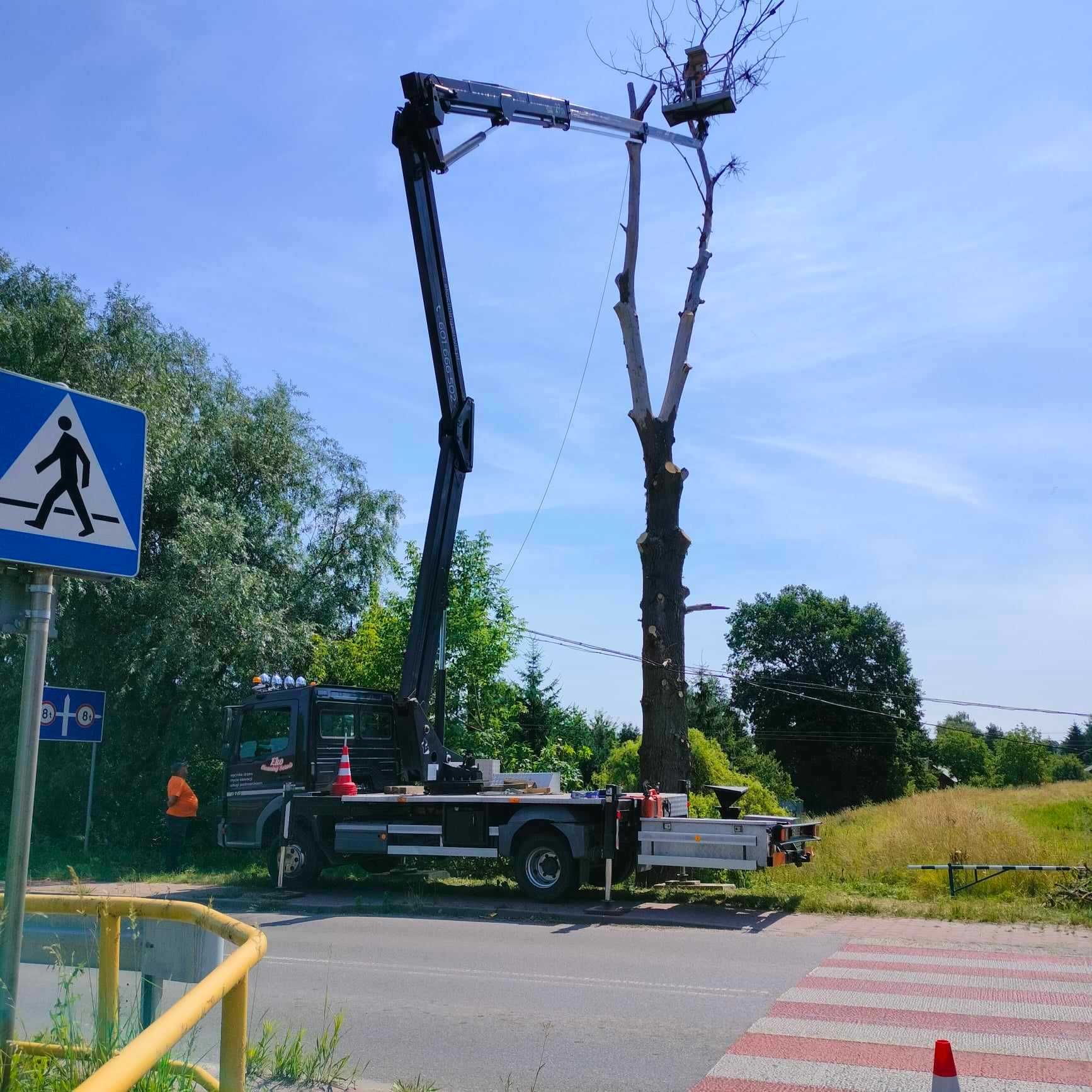 Wycinka , podcinka drzew, usługi rebakiem, łupkowanie drzewa