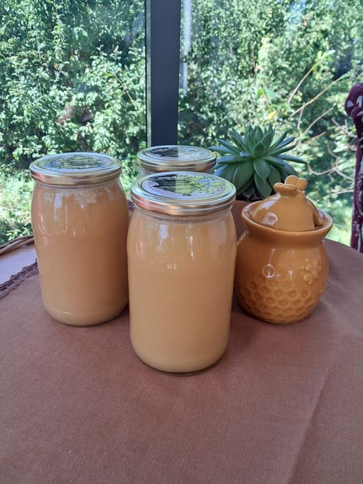 Miód rzepakowy 900ml