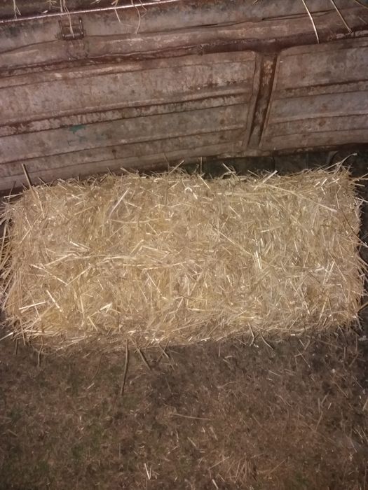 Продам солому в тюках