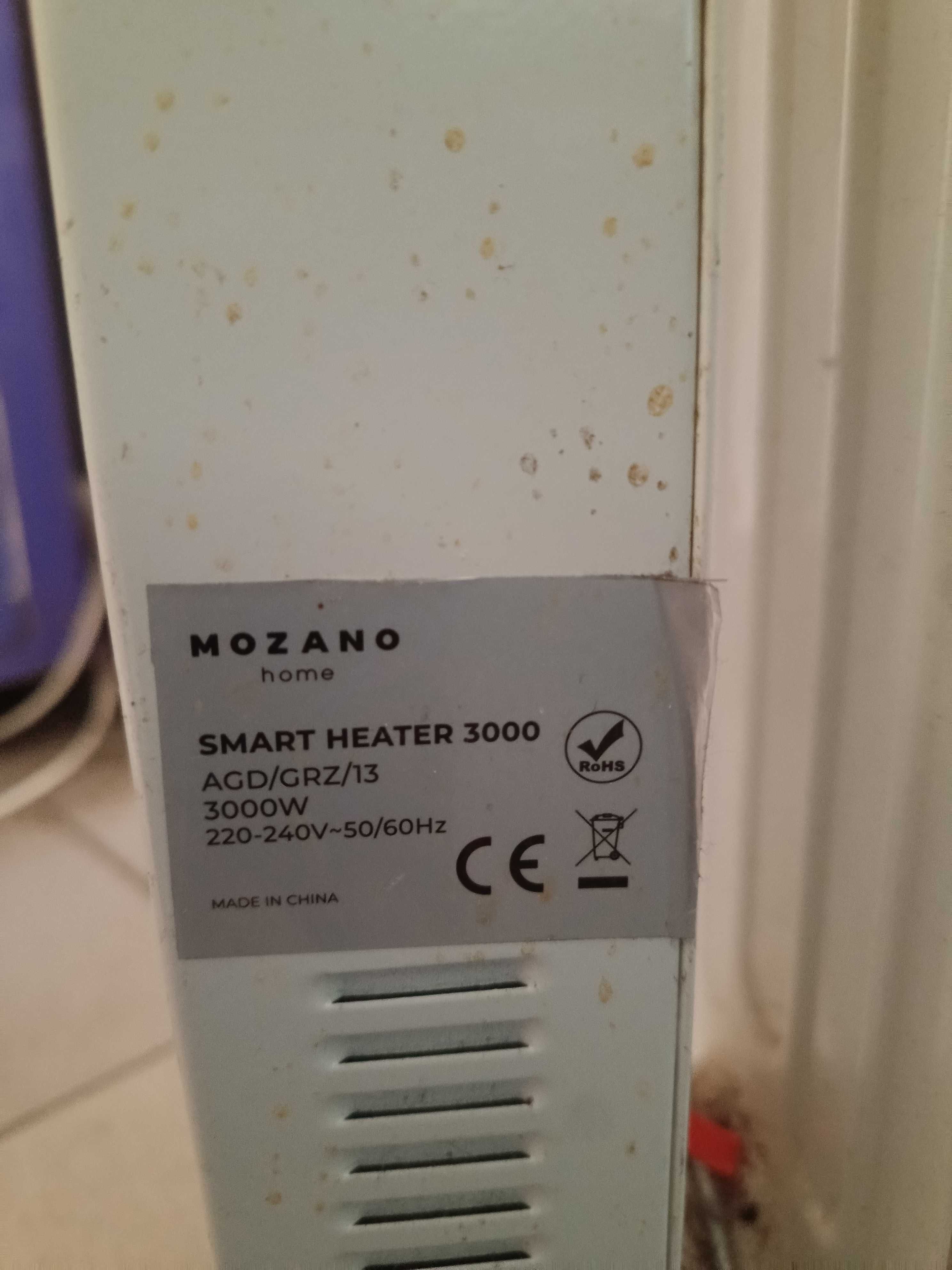 grzejnik elektryczny olejowy olejak 3000w 13 żeber wifi termostat eko