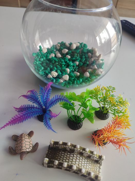 Akwarium dla rybki / bojownika