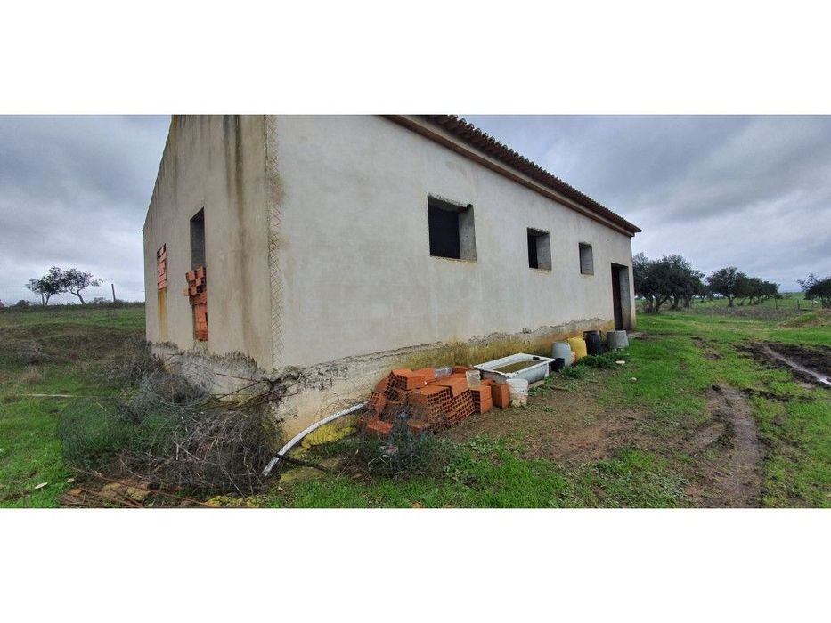 Terreno rústico com 22.250 m2 em Alter do Chão