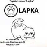 Стрижка котів та собак.