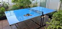 Mesa Ping Pong Artengo Dobrável