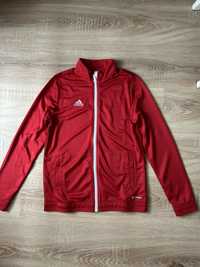 Bluza adidas Entrada 22 rozm.164