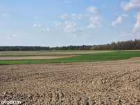Działka budowlana MN_komunikacja MPK_światłowód_las