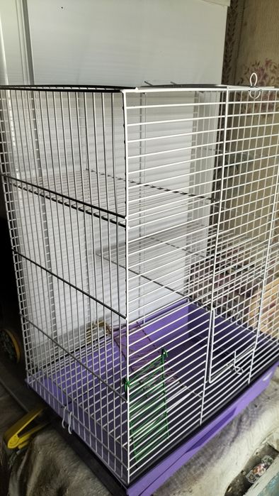 Клітка для гризунів