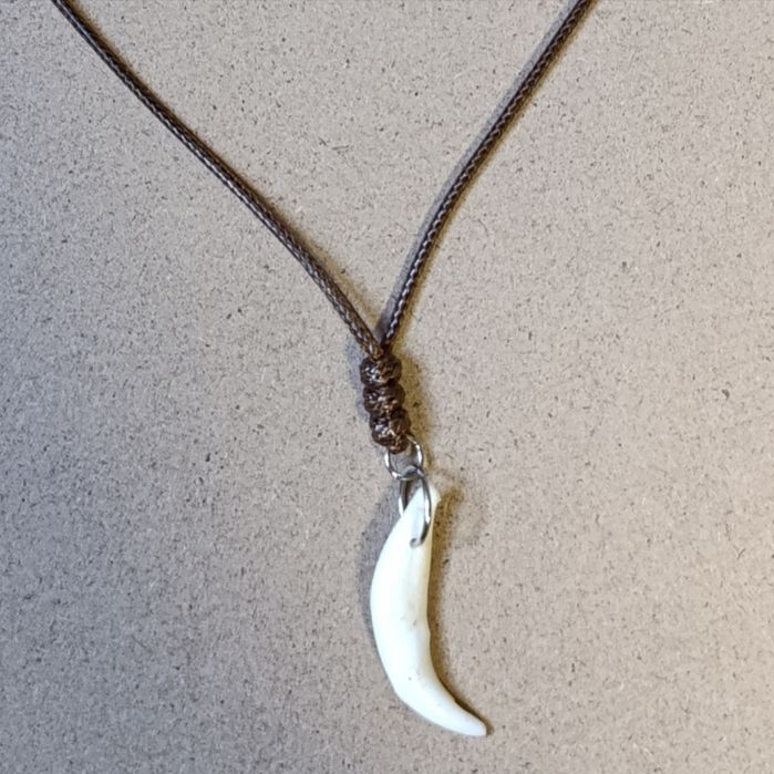 wisiorek z zebem lisa