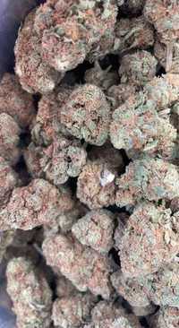 10G Strawberry HAZE susz CBD konopny bardzo mocny same topy