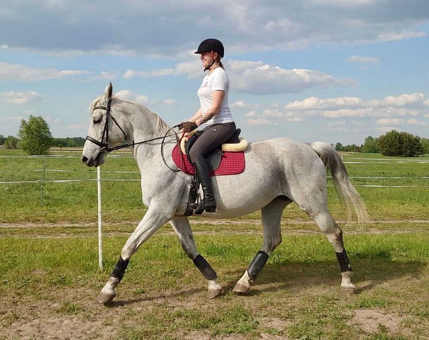 *** Spokojna klacz-rekreacja, koń rodzinny ***