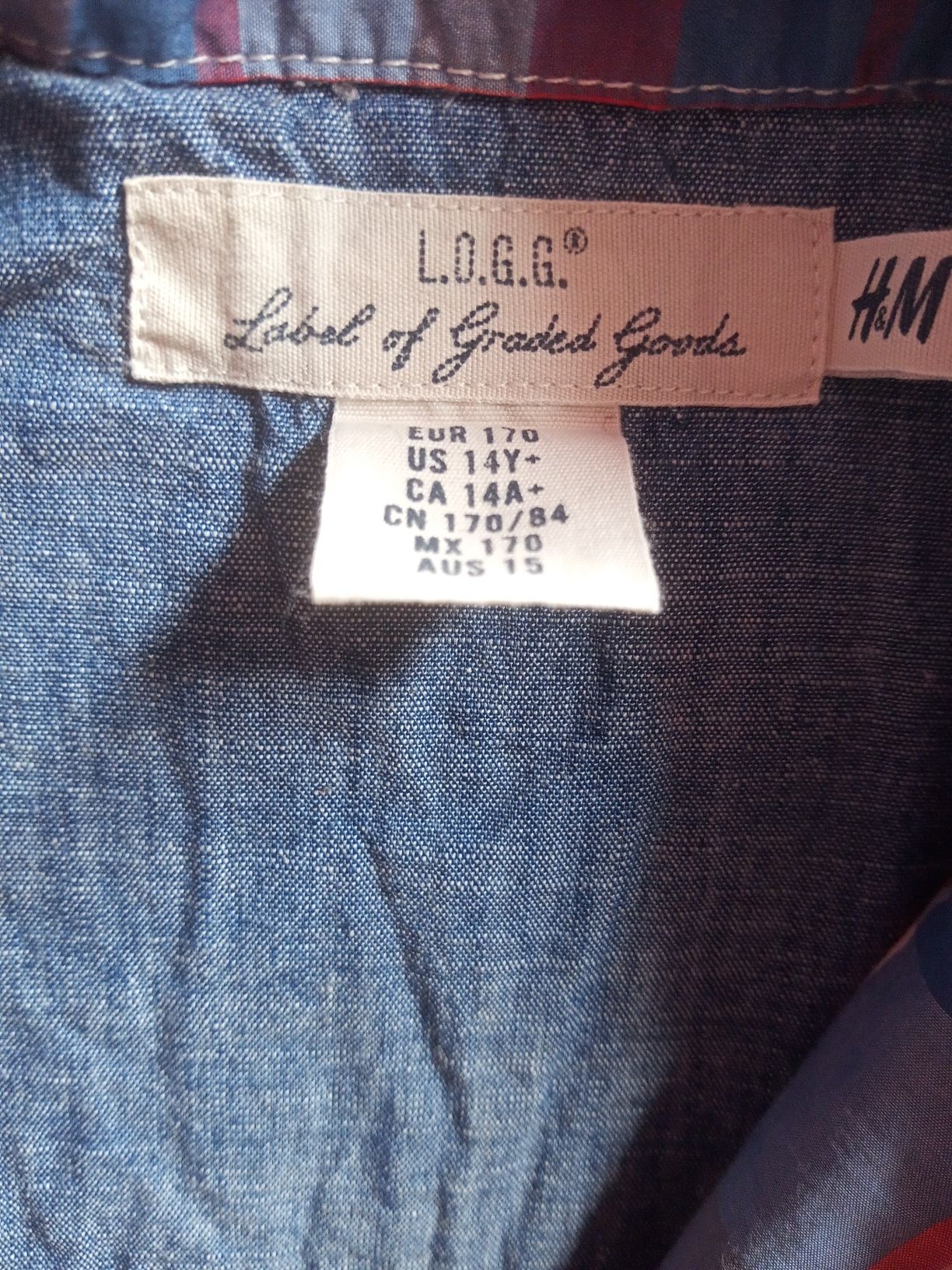 koszula H&M 170cm
