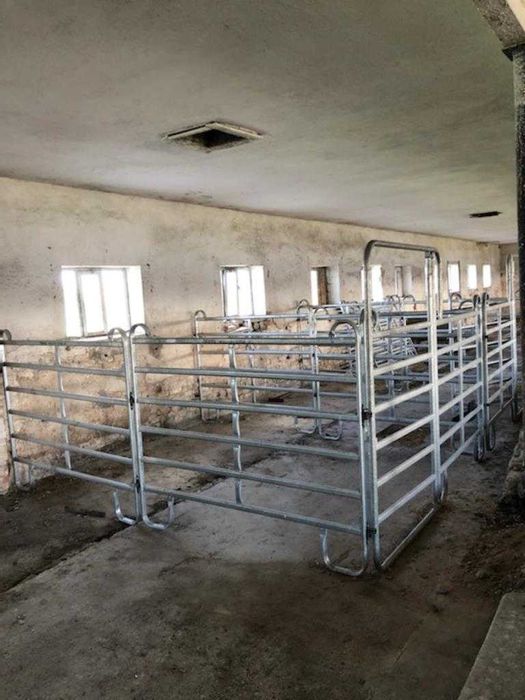 Mobilne wygrodzenia, panele ogrodzeniowe TEXAS bydła koni