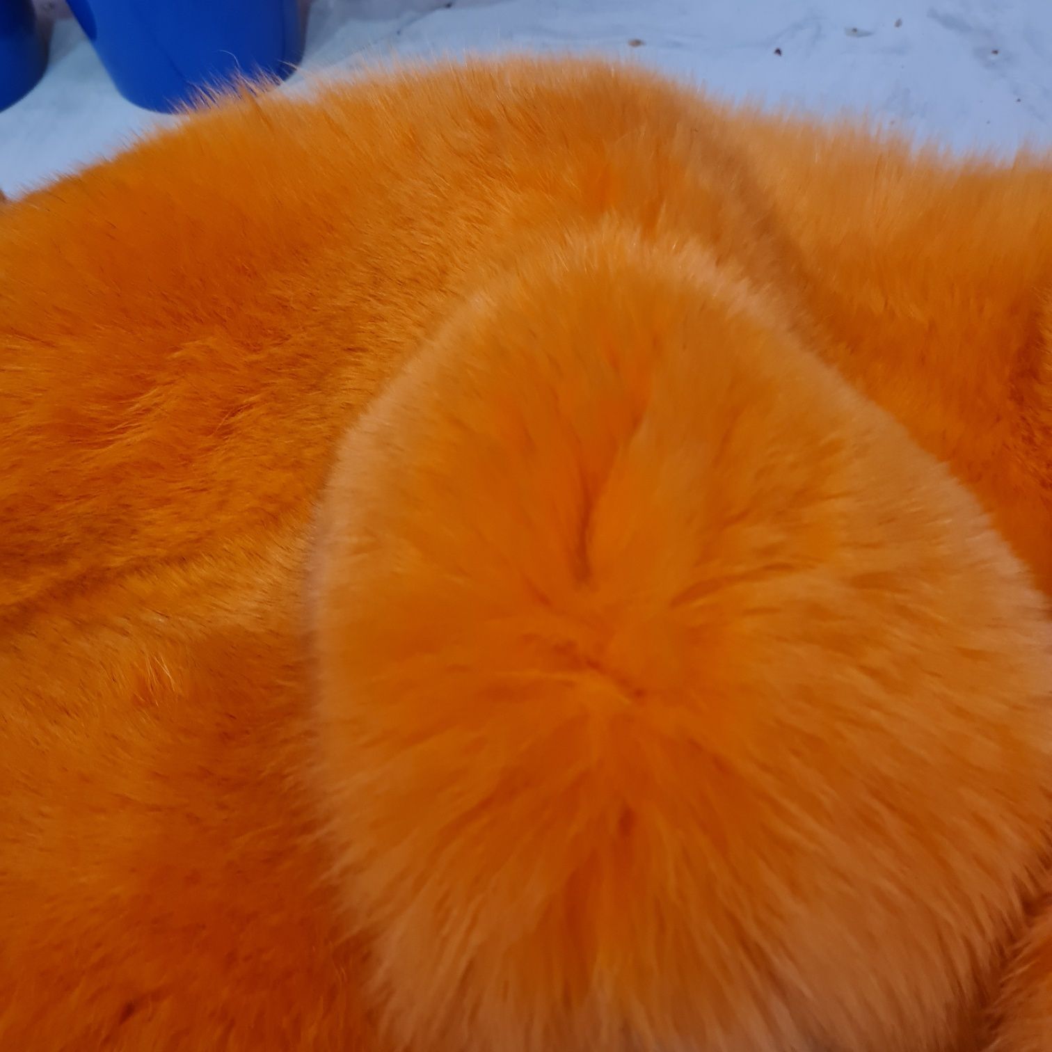 Przepiekny pomaranczowy lis