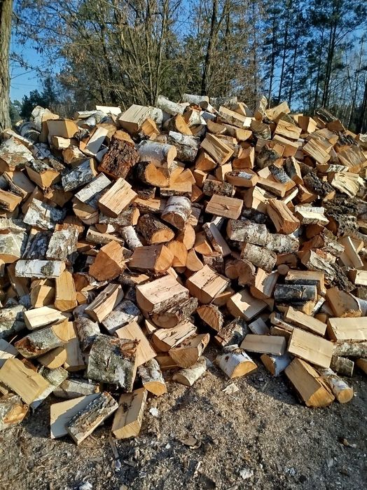 Atrakcyjne ceny sucha brzoza oraz sosna