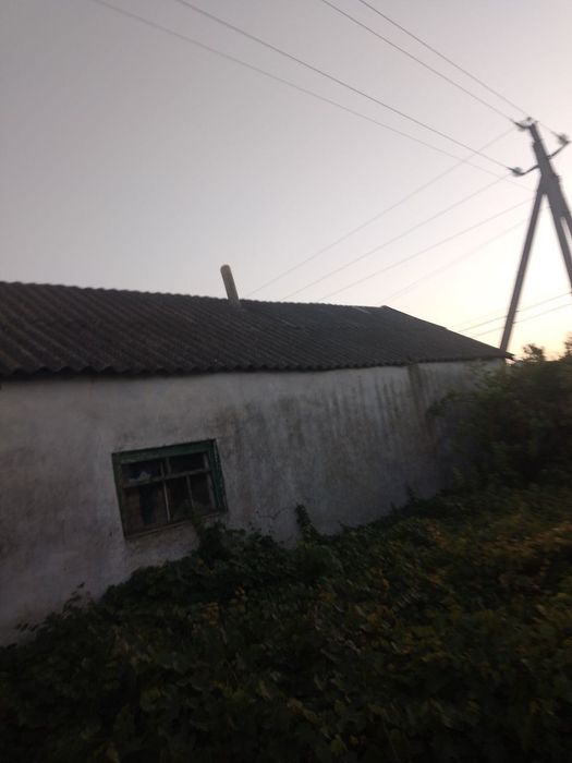 Продамо ділянку 25 соток + сарай