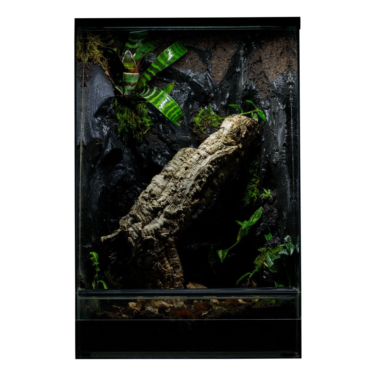 Terrarium tropikalne paludarium gekon 40x40x60