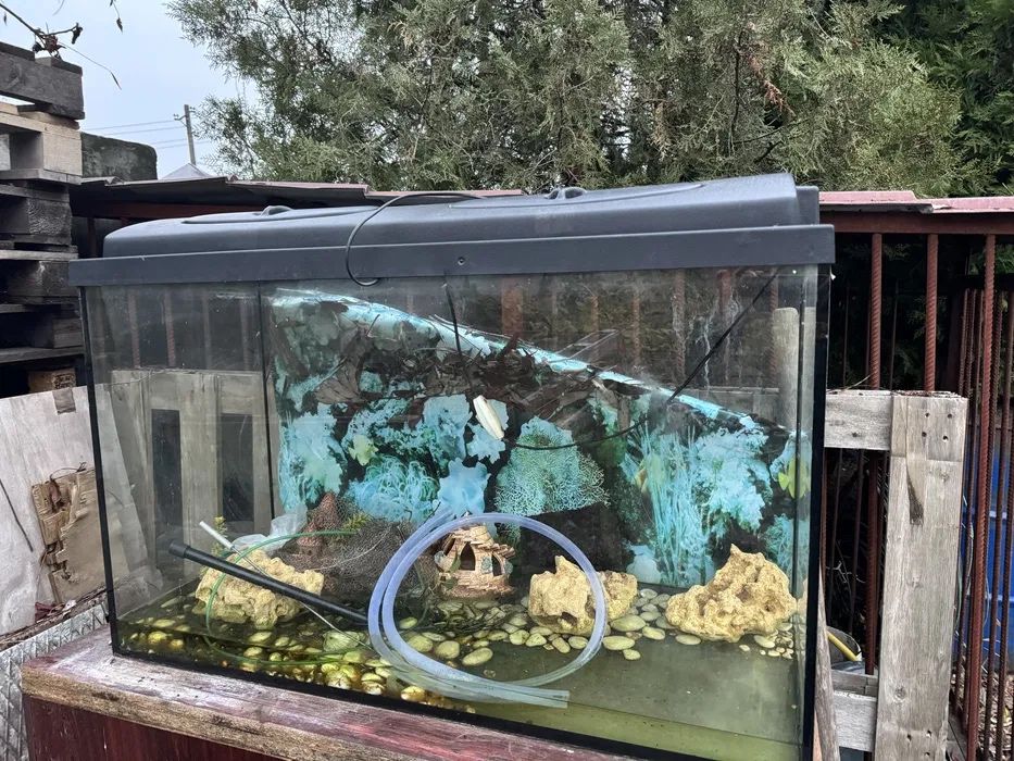 Акваріум 240 літрів