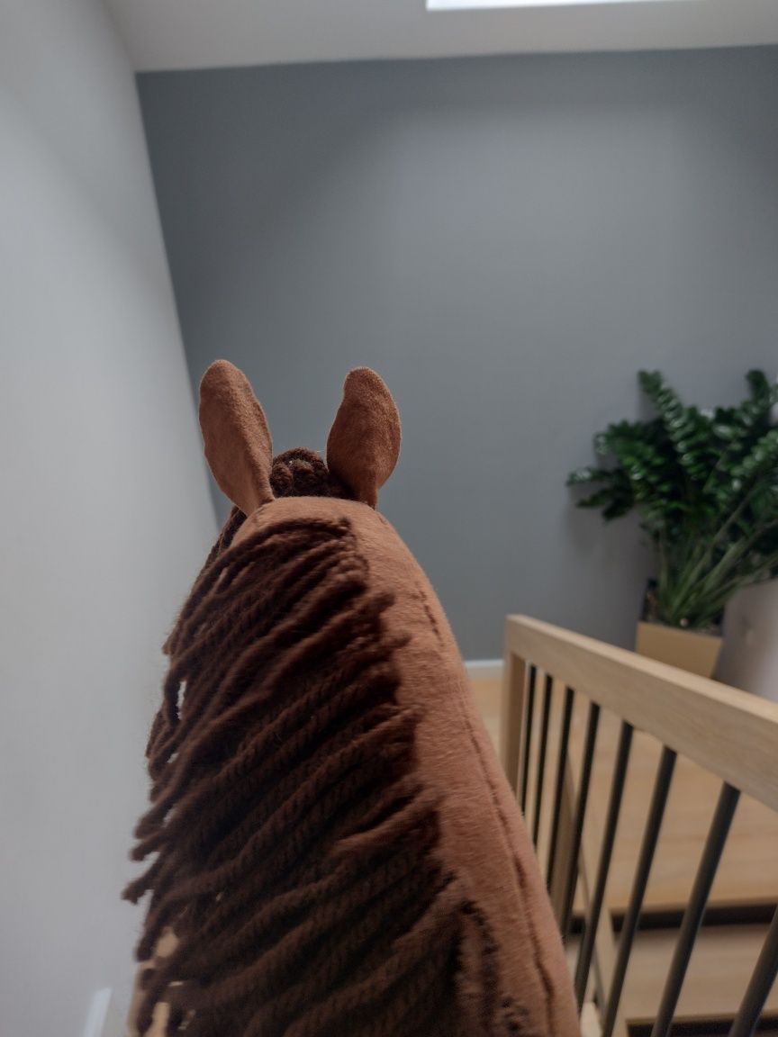 Hobby horse a4 sprzedam/wymienię