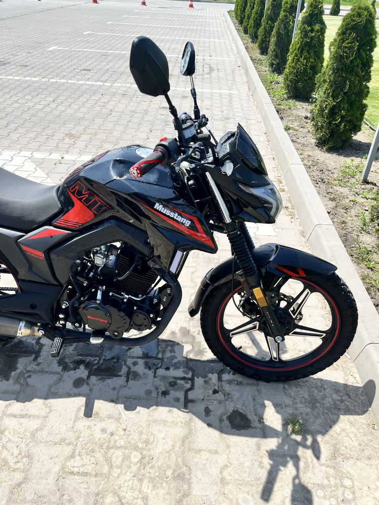Мустан фортуна 250
