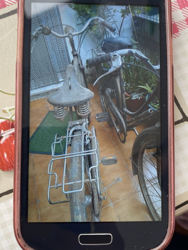 Bicicletas pasteleiras (3)