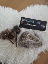 Nasiona jeżówki purpurowej, jeżówka purpurowa ,enchinacea ,ok.9-10g